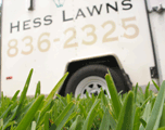 Lawn/Bed Care